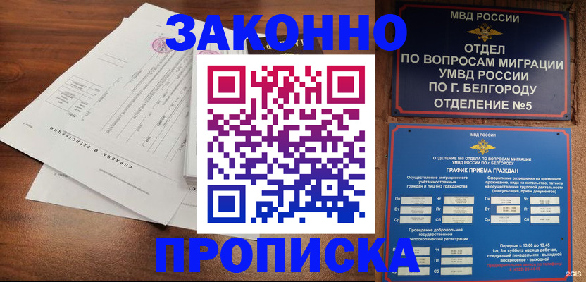 прописка в Черноголовке